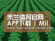 种植基地六