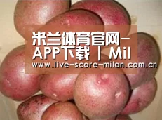 产品展示标题1