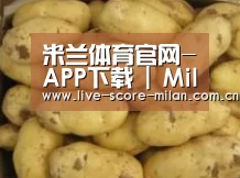 产品展示标题6
